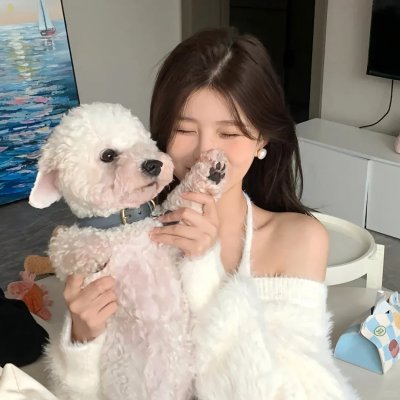 狮子护卫队第一季