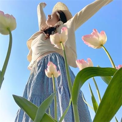 花系列：二